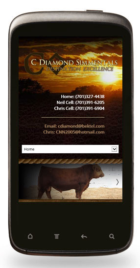 Mobile Responsive Design - C Diamond Ranch - Image